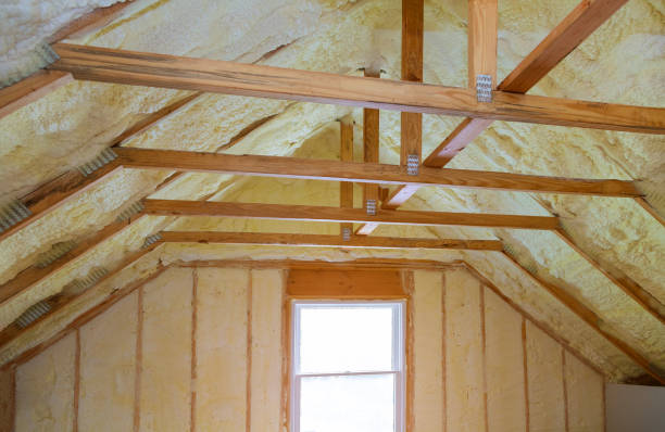 Best Commercial Insulation in South Sioux City, NE